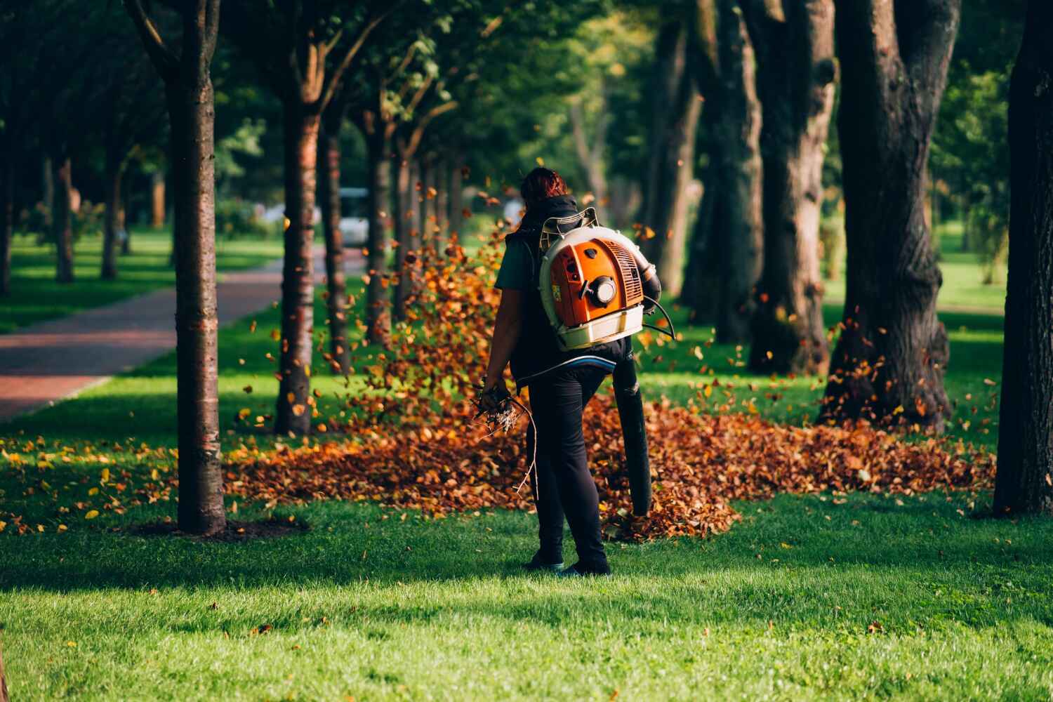 Best Tree Care Services  in Wilmerding, PA